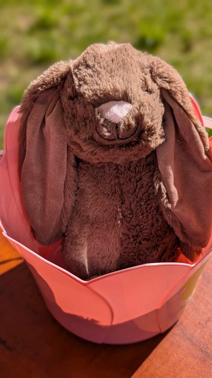 Custom Easter Bunny with Name on Ear – Personalized Plush Toy for Kids
