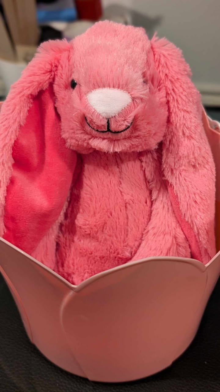 Custom Easter Bunny with Name on Ear – Personalized Plush Toy for Kids