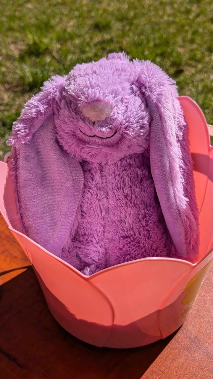 Custom Easter Bunny with Name on Ear – Personalized Plush Toy for Kids